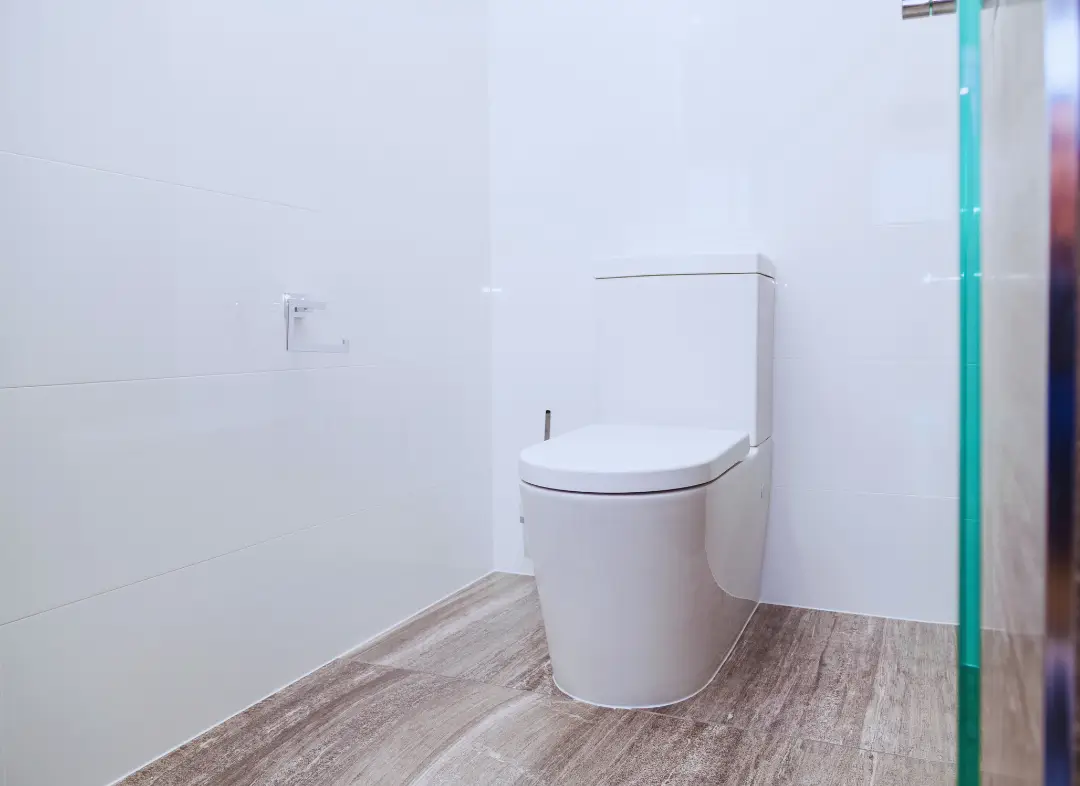 Remplacement de wc Freyming-Merlebach